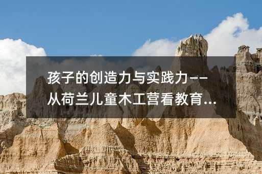 孩子的创造力与实践力——从荷兰儿童木工营看教育方式