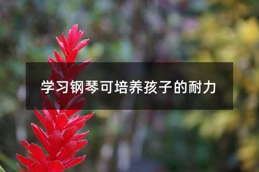 学习钢琴可培养孩子的耐力