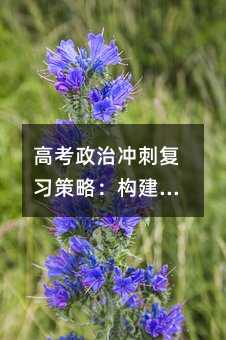 高考政治冲刺复习策略:构建知识体系与精准备考指南