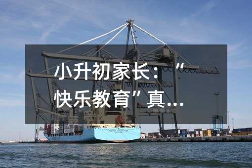 小升初父母：“快乐教育”真害人