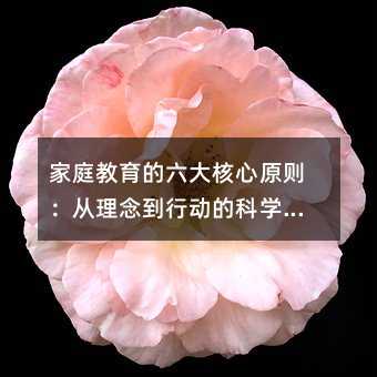ͥԭ򣺴жĿѧָ