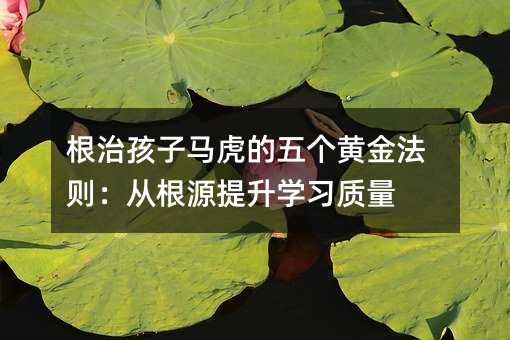 根治孩子马虎的五个黄金法则:从根源提升学习质量