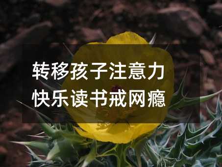 转移孩子注意力 快乐读书戒网瘾