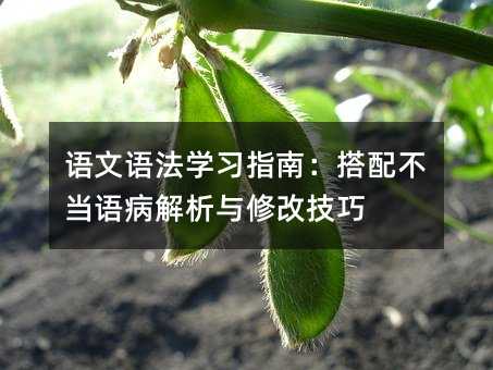 语文语法学习指南:搭配不当语病解析与修改技巧