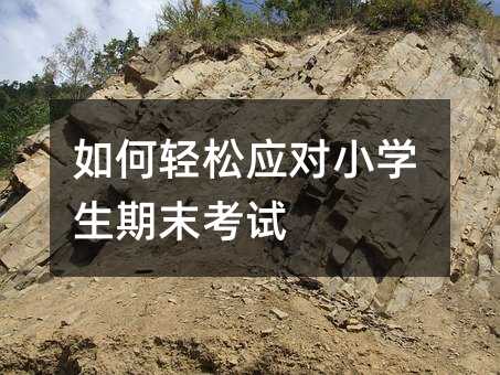 如何轻松应对小学生期末考试