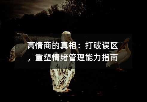 高情商的真相:打破误区,重塑情绪管理能力指南