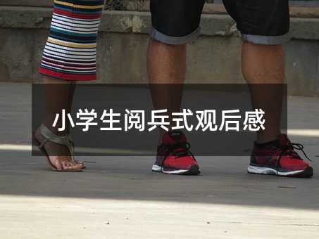 小学生阅兵式观后感
