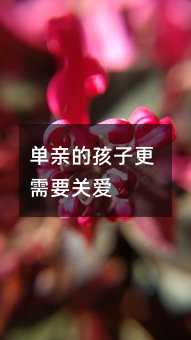 单亲的孩子更需要关爱