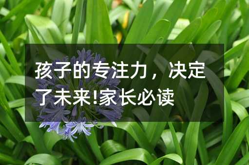 孩子的专注力,决定了未来!家长必读