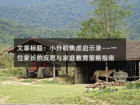 文章标题:小升初焦虑启示录——一位家长的反思与家庭教育策略指南