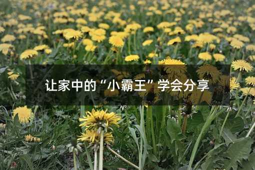 让家中的“小霸王”学会分享