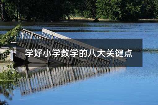 学好小学数学的八大关键点