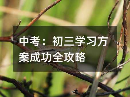 中考:初三学习方案成功全攻略