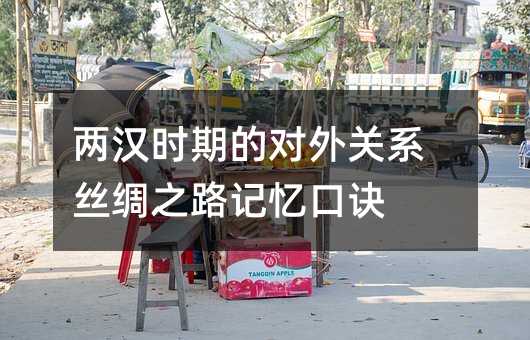 两汉时期的对外关系丝绸之路记忆口诀