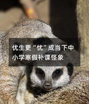 优生更“忧”成当下中小学寒假补课怪象