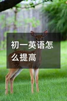 初一英语怎么提高