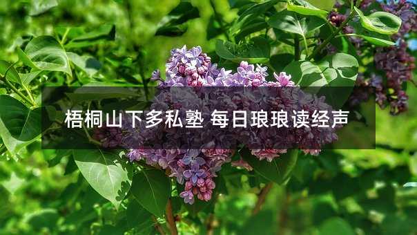 梧桐山下多私塾 每日琅琅读经声