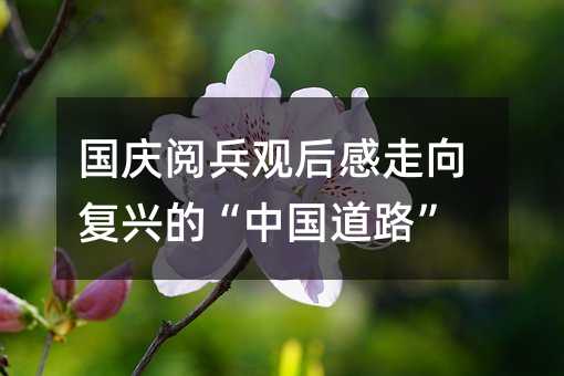 国庆阅兵观后感走向复兴的“中国道路”