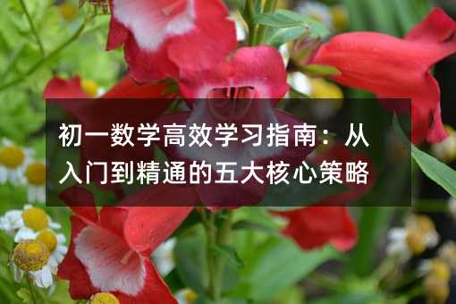 初一数学高效学习指南:从入门到精通的五大核心策略