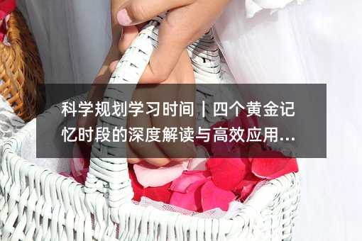 科学规划学习时间|四个黄金记忆时段的深度解读与高效应用指南