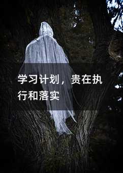 学习计划,贵在执行和落实