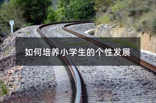 怎么样培养小学生的个性进步