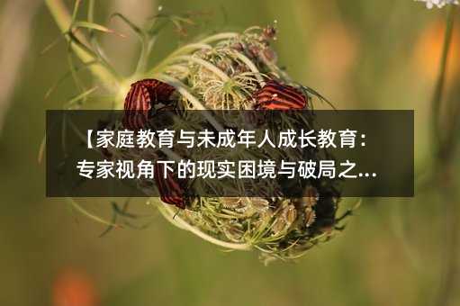【家庭教育与未成年人成长教育:专家视角下的现实困境与破局之道】