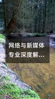 网络与新媒体专业深度解析:课程、就业与报考指南