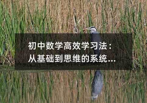 ѧЧѧϰӻ˼άϵͳͻ