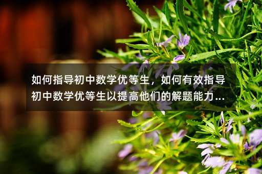如何指导初中数学优等生,如何有效指导初中数学优等生以提高他们的解题能力和创新思维?