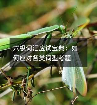 六级词汇应试宝典:如何应对各类词型考题