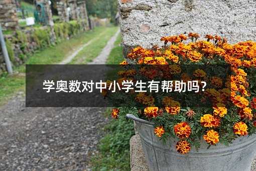 学奥数对中小学生有帮助吗?