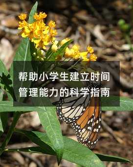 帮助小学生建立时间管理能力的科学指南