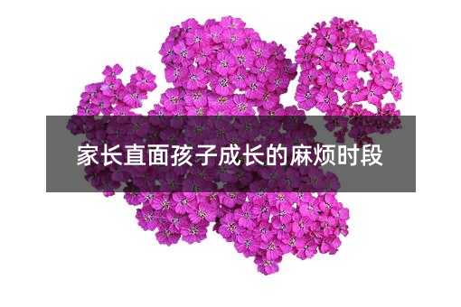 家长直面孩子成长的麻烦时段