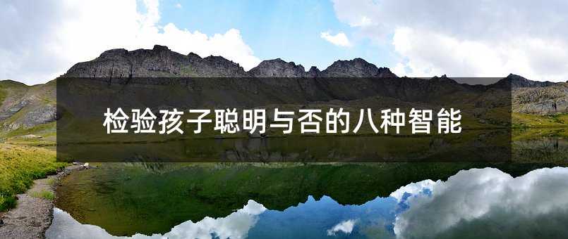 检验孩子聪明与否的八种智能