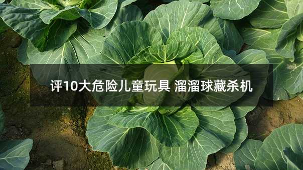 评10大危险儿童玩具 溜溜球藏杀机