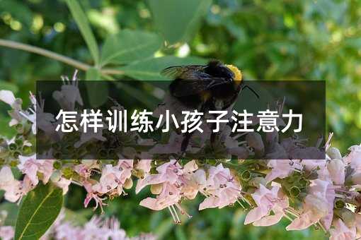 怎样训练小孩子注意力