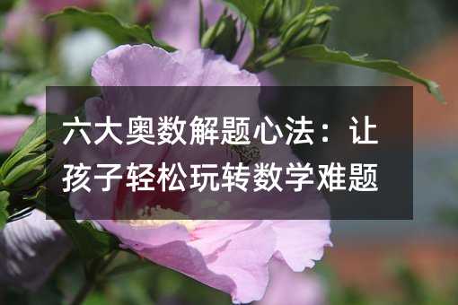 六大奥数解题心法:让孩子轻松玩转数学难题