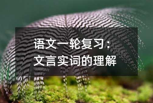 语文一轮复习:文言实词的理解