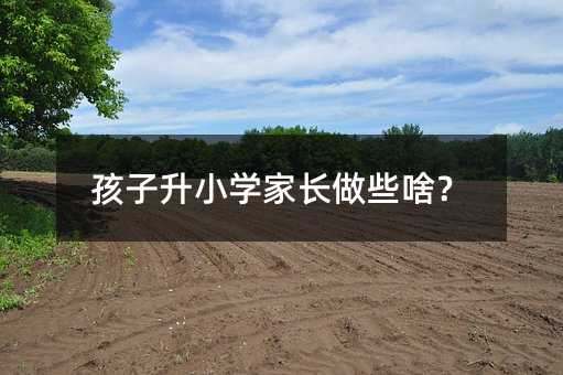 孩子升小学家长做些啥?