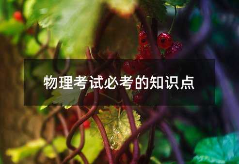 物理考试必考的知识点