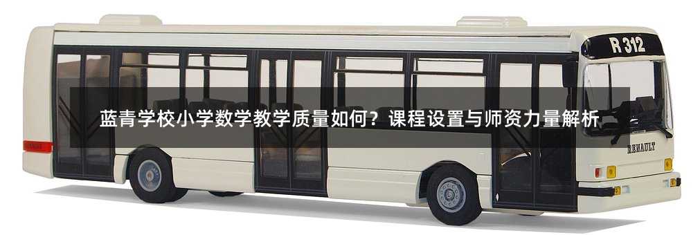 蓝青学校小学数学教学质量如何?课程设置与师资力量解析