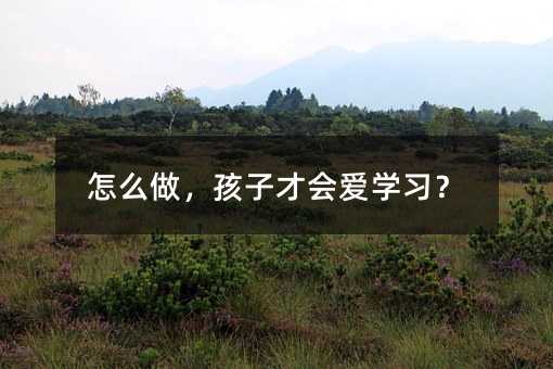 怎么做,孩子才会爱学习?