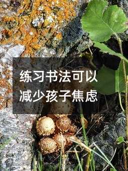 练习书法可以减少孩子焦虑