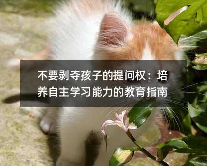 不要剥夺孩子的提问权:培养自主学习能力的教育指南