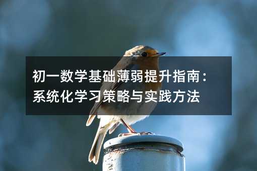 初一数学基础薄弱提升指南:系统化学习策略与实践方法