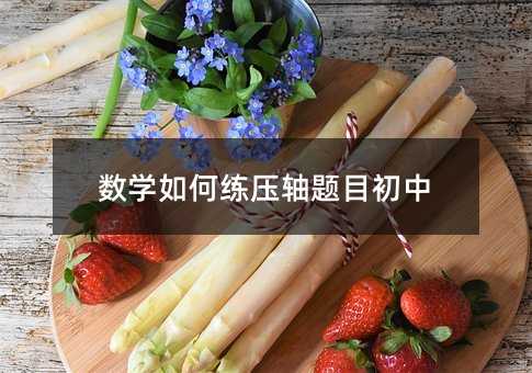 数学如何练压轴题目初中