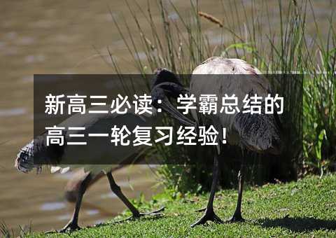新高三必读:学霸总结的高三一轮复习经验!