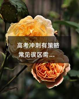 高考冲刺有策略 常见误区需谨慎