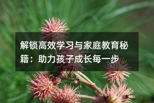 解锁高效学习与家庭教育秘籍:助力孩子成长每一步